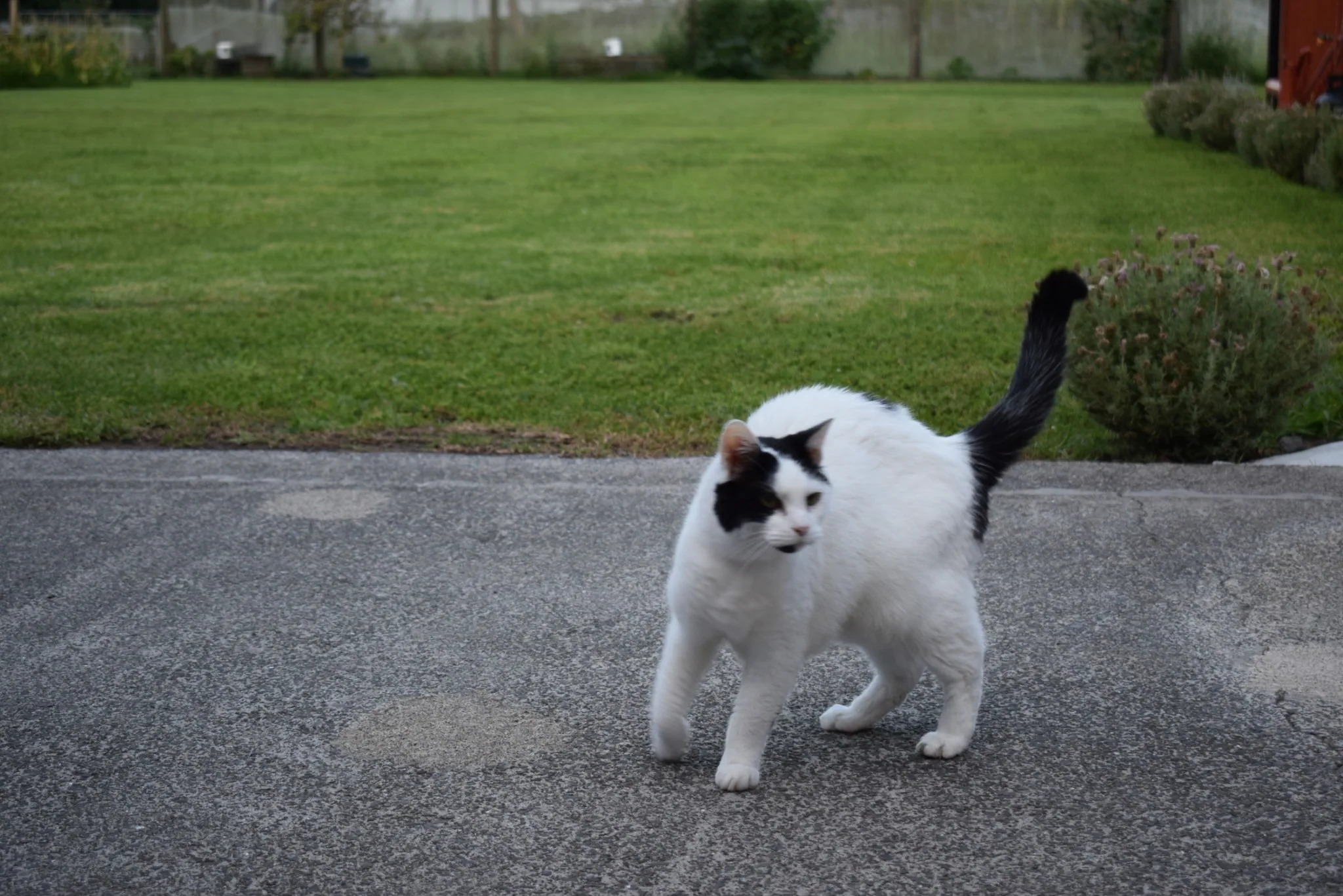 A28 marshall venturing further afield 28 jan 2018 (3)